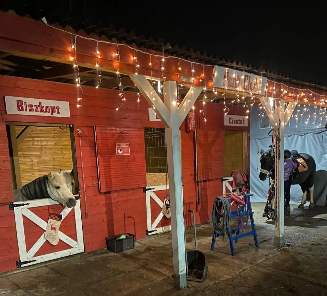 Pony Club Kucykowe Ranczo